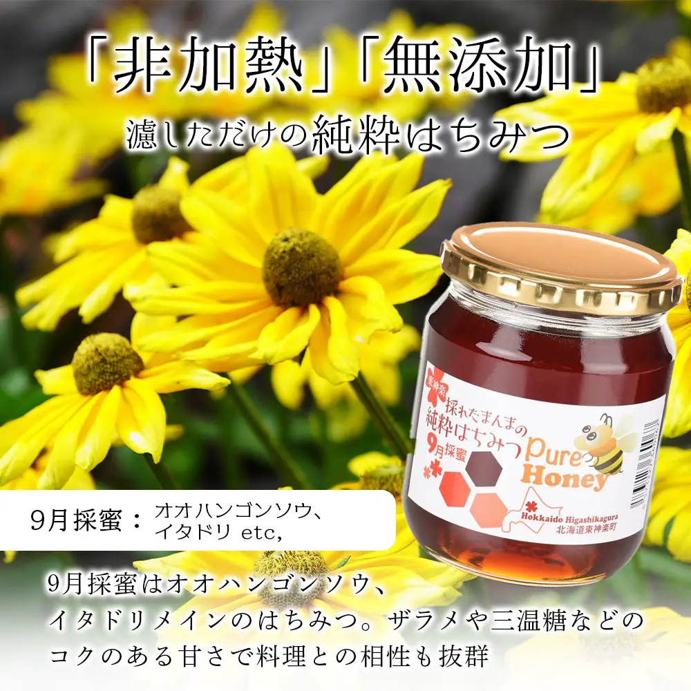 東神楽産採れたまんまの純粋はちみつ 600ｇ1個【9月採密】オオハンゴンソウ・イタドリ  etc.