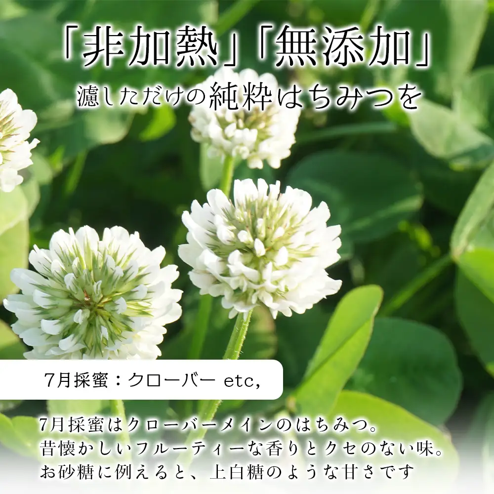 採れはち便　30ｇ×3個入り　3セット