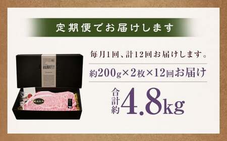 【全12回定期便】【A4～A5ランク！キングオブステーキ！】長崎和牛 サーロインステーキ 計約4.8kg ( 約400g×12回 ) 和牛 国産 牛肉 お肉 ステーキ