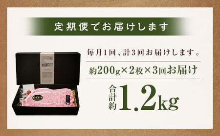 【全3回定期便】【A4～A5ランク！キングオブステーキ！】 長崎和牛 サーロインステーキ 計約1.2kg ( 約400g×3回 ) 和牛 国産 お肉 牛肉 ステーキ