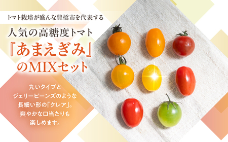 ≪今が旬！≫フルーツトマト あまえぎみ 約1kg ≪5色ミックス≫トマト