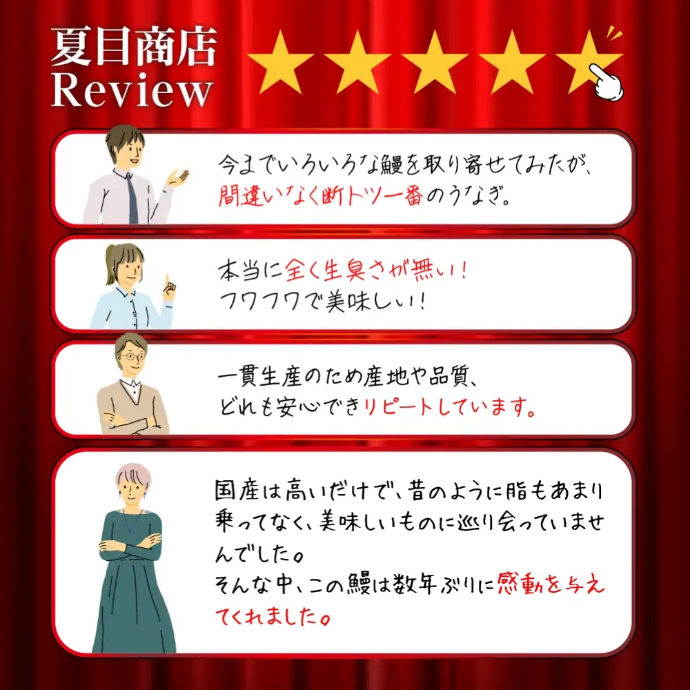 豊橋うなぎ 紅白3尾 国産 うなぎ
