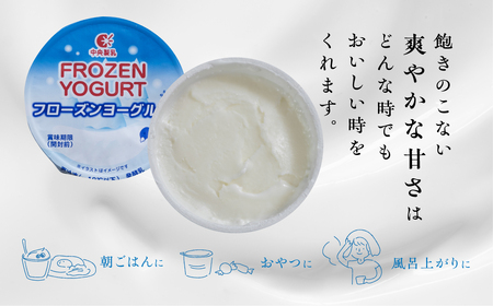 アイス フローズンヨーグルト 30個  アイス 中央製乳