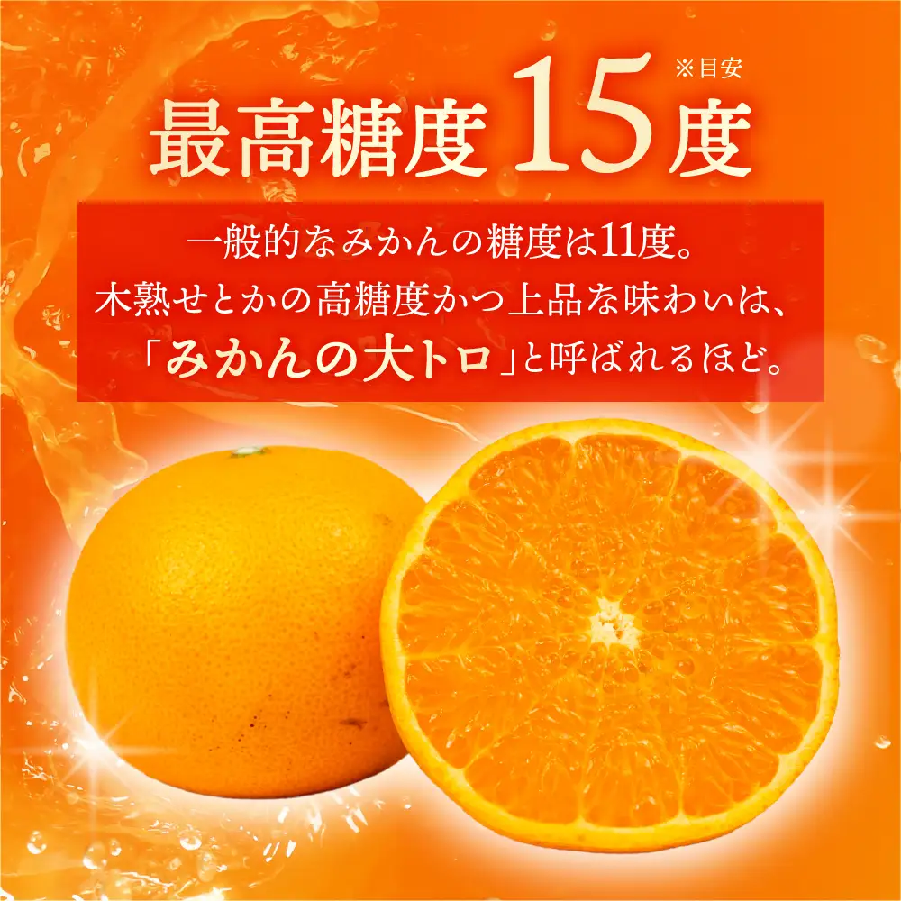 せとか 2.8kg 大トロ 黒化粧箱 みかん