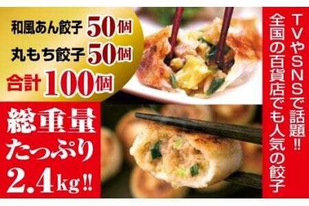 夏目家の『和風あん餃子』50個と『丸もち餃子』50個のガッツリ100個食べくらべセット                                                                                                                                                                                                          