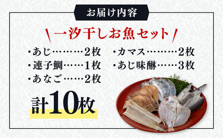 【1週間以内発送】対馬 一汐干し お魚 セット 5種10枚 [WAI006] アジ 穴子 カマス 連子鯛 干物 スピード発送 最速発送 最短発送