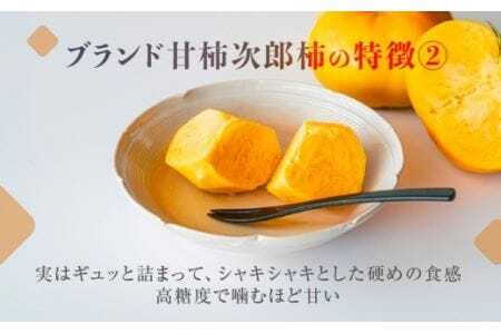 次郎柿 10kg 豊橋 甘 柿