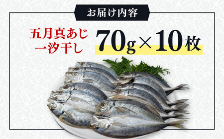 【1週間以内発送】対馬 五月 真あじ 一汐干し 10枚 [WAI009] あじ 干物 アジ 真アジ スピード発送 最速発送 最短発送