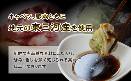 国産素材 冷凍餃子 150個 餃子 餃子