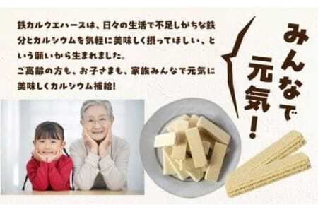 業務用　元気 鉄カルウエハース ミルククリーム味（30枚×10袋）