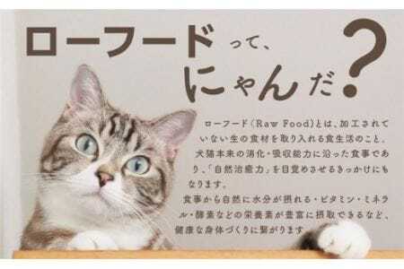 犬猫用手作りローフード（錦爽どりミックス500g+鹿骨ボーンブロス300ml）