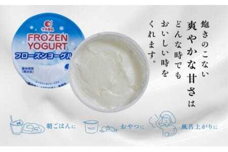 アイス フローズンヨーグルト 12個 アイス 中央製乳