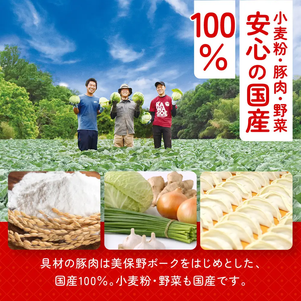ぎょうざの満洲 冷凍生餃子10パック(120個)