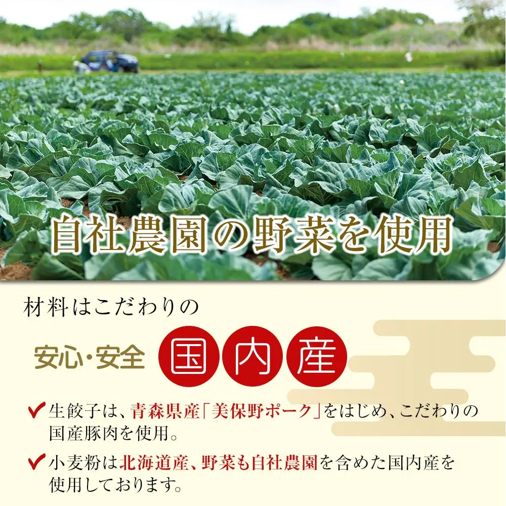 ぎょうざの満洲 業務用冷凍生餃子3袋(180個)