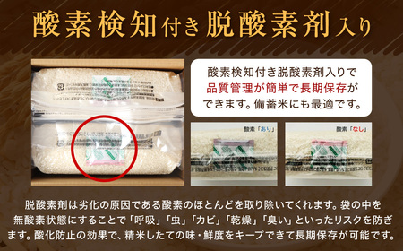 【令和7年産】 無洗米 長崎 こしひかり 計10kg ( 2.5kg×4袋 ) ／ お米 米 ご飯 ごはん 小分け コメ 長崎県産 国産 九州 長崎県 長崎市 深堀米穀店
