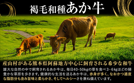 熊本県産 あか牛 切落し 1kg(250g×4パック) UBUYAMAPLACE《60日以内に出荷予定(土日祝除く)》あか牛 ユッケ 肉 小分け 牛肉 和牛