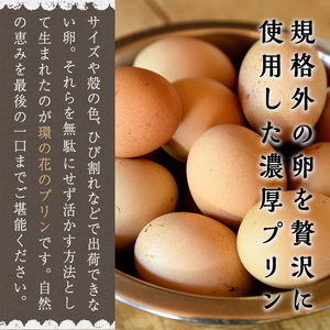 環の花 平飼い有精卵プリン 8個 スイーツ 国産 濃厚【プリン】【ho1392】
