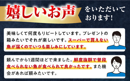 対馬 活〆 島魚 セット 1.5kg [WAC005] ブリブリブリブリブリ