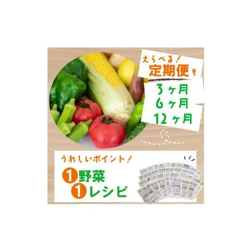 野菜詰め合わせ 定期便 7品~8品 ｜ 野菜詰め合わせ 野菜セット 野菜定期便 野菜定期便 野菜定期便 定期便 定期便 高知県 NPO22000