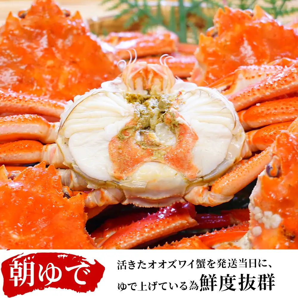 北海道産【 朝ゆで 】訳ありオオズワイガニ 1.0kg詰 ＜かにのマルマサ＞
