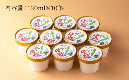 藻塩 アイスクリーム 10個 対馬 スイーツ  [WBS002]