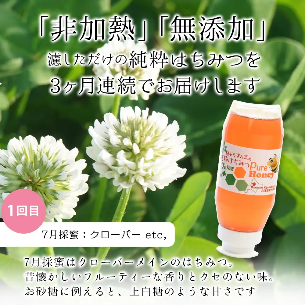 【定期便・頒布会】3ヵ月連続お届け！東神楽産採れたまんまの純粋はちみつ 300ｇ