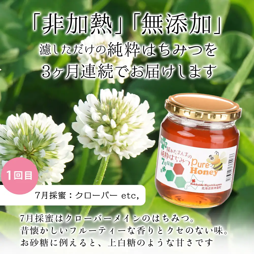 【定期便・頒布会】3ヵ月連続お届け！東神楽産採れたまんまの純粋はちみつ 600ｇ