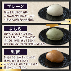 a959-B 加治木まんじゅう詰合せ・饅頭詰合せB・合計18個(プレーン8個、よもぎ5個、黒糖5個）【堂免堂】姶良市 和菓子 まんじゅう 饅頭 加治木饅頭 酒まんじゅう 手づくり お菓子 おやつ スイーツ デザート お茶請け お茶菓子 郷土菓子 セット 詰め合わせ 冷凍