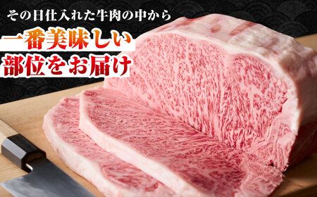 【全2回定期便】【A4～A5ランク】長崎和牛 サーロインステーキ 500g（250g×2枚）《壱岐市》【株式会社MEAT PLUS】 肉 牛肉 黒毛和牛 サーロイン ステーキ ご褒美 ギフト 贈答用 ご褒美 冷凍配送 A4 A5 [JGH127]