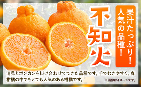 みかん 不知火 厳選 5kg サイズ混合