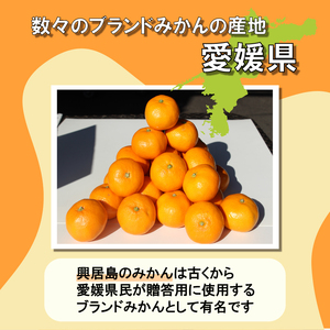 【2026年11月下旬頃から順次発送】興居島みかん 約6kg（L～Sサイズ） みかん 温州みかん 柑橘 興居島 ごごしま ブランド 愛媛県 松山市【SSK0011】