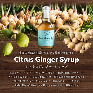 【 小豆島 】小豆島ジンジャー&ダイダイレモンシロップ2本セット シロップ ジンジャー  飲料 ドリンク シロップ ギフト 贈り物 香川 香川県 土庄 土庄町