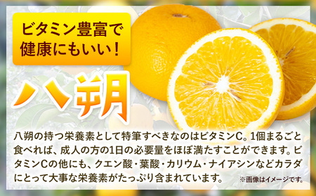 みかん 八朔 ご家庭用 10kg サイズ混合