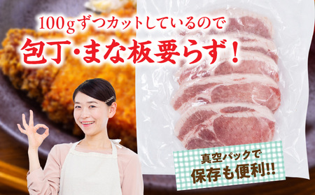宮崎県産 豚ロース (トンテキ・とんかつ用) 計2kg 肉 豚肉 ポーク 国産 食品 万能食材 真空パック 簡単調理 おかず お弁当 おつまみ 豚丼 焼肉 炒め物 カレー ステーキ おすすめ ご褒美 お祝い 記念日 日南市 送料無料_CD56-24