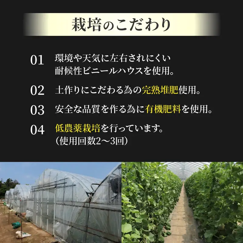 【先行予約】佐藤農園の赤肉と青肉食べ比べ計2玉（レノンメロン・アンデスメロン）農家直送 秀品 お届け！ / フルーツ くだもの 特産 旬 夏 果物 完熟  メロン 朝どれ 美味しい お取り寄せ 贈答 ※2026年6月中旬より順次発送 [aw069-a011]