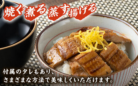 対馬産 穴子 詰め合わせ 5PAC 海鮮 あなご 穴子 [WAV001]