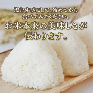 a19-057　ミルキークイーン あきの掬び 5kg×1袋