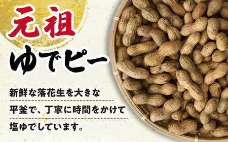 塩ゆで落花生 200g×2袋 落花生[ACZR011]