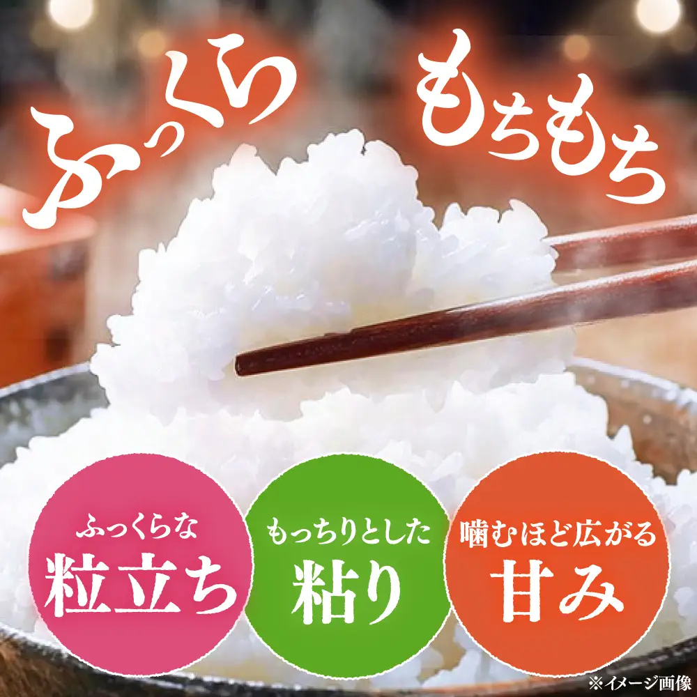 【R8年産】【2026年10月中旬頃より順次発送】特A 対馬産 にこまる 5kg×2「ほたる舞う三根川の米」 新米 米 お米 ご飯 ごはん 白米 10kg 10キロ 贈答用 特A [WAJ001]