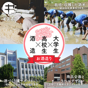 日本酒 SAKE na Baby 720ml×2本【 日本酒 酒 若宮酒造 贈り物 国産 プレゼント ギフト 贈答 こだわり 特産品 オリジナル 綾部 京都 】