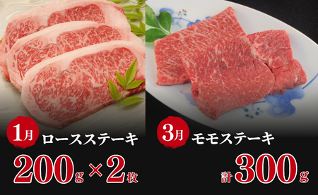 【6人に1人がリピーター！】素敵な佐賀牛ステーキ定期便！通年6回！ ロースステーキ モモステーキ カルビ サイコロステーキ レモンステーキ ロース ブロック 牛肉 黒毛和牛 お肉 N150-8