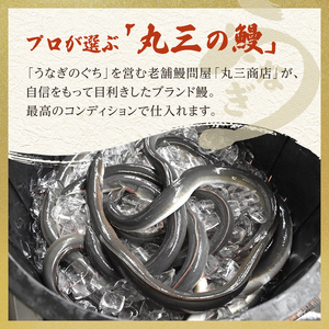 うなぎ 国産 手焼き蒲焼4尾セット うなぎ蒲焼き 炭火焼 たれ 鰻 蒲焼 鰻蒲焼 ウナギ