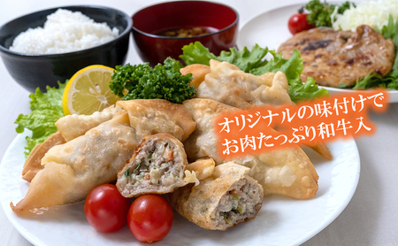 津ぎょうざ 12個 [ ギョウザ 餃子 冷凍 ご当地 お取り寄せ 簡単調理 惣菜 おかず 津市 ジャンボサイズ 揚げぎょうざ 揚げ餃子 ] 