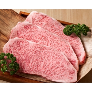 A5等級 松阪牛 サーロインステーキ 1枚 200g お肉