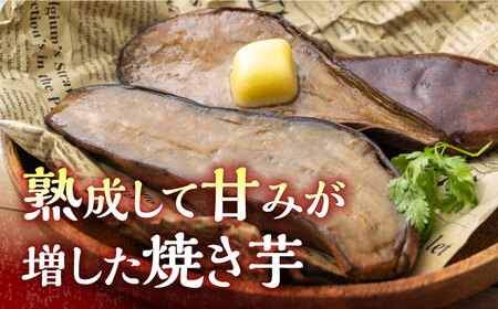 孝行芋 焼き芋 12袋 [WAI013] 対馬 やきいも 常温 保存食 おやつ