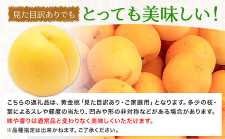 黄金桃 1.4kg フルーツファーム岡山 