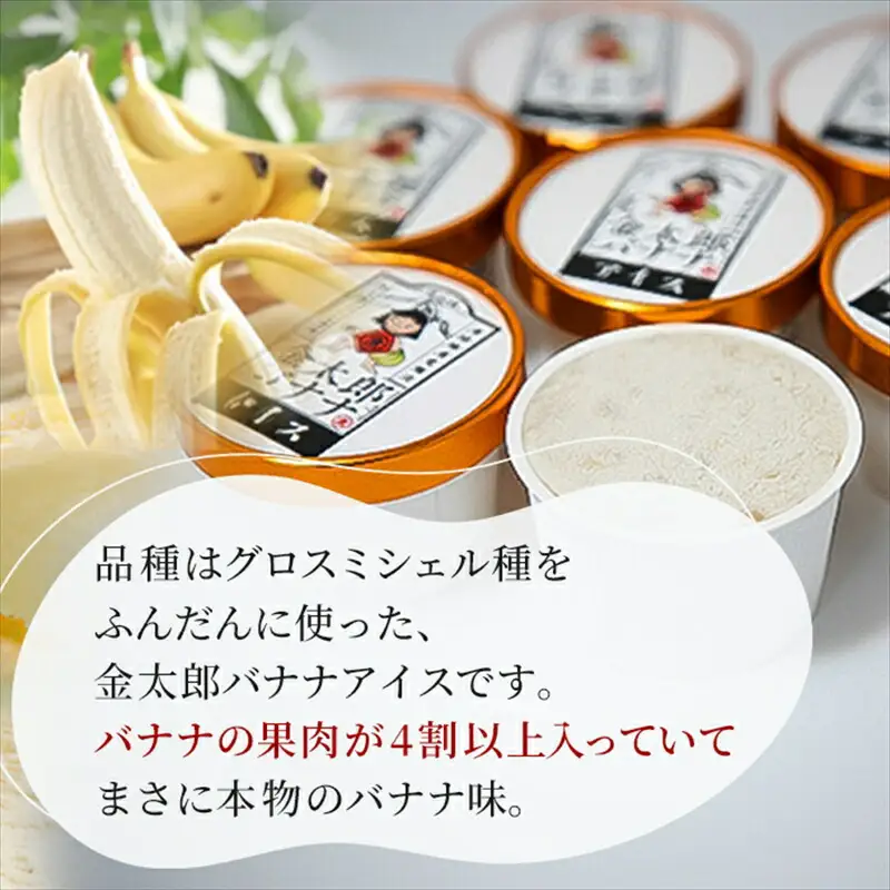 金太郎バナナアイス（8個） 栽培期間中農薬不使用 【国産 ギフト プレゼント 贈り物 お返し おいしい 果物 くだもの フルーツ お歳暮 お中元 】