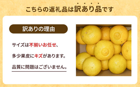 訳あり みかん はるか 約5kg (22玉～27玉)【2026年2月上旬～2026年6月下旬発送】