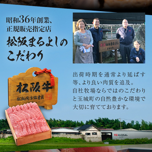 松阪牛ハンバーグ5個 [ 松阪牛 ハンバーグ ]