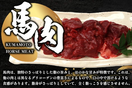 【 定期便 12回 】 熊本県 馬スジ 1㎏（ 500g×2 ） × 12回 【 合計 12kg 】 馬肉 すじ肉 大容量 本場 熊本県 馬 赤身 煮込み カレー シチュー 冷凍 真空 熊本 肥育 ヘルシー 赤身 肉 高栄養 肉 馬スジ 041-0169